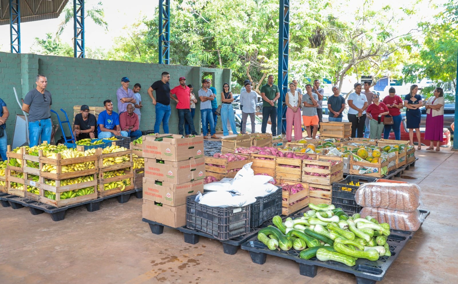 Araguaína compra R$ 740 mil em alimentos da agricultura familiar