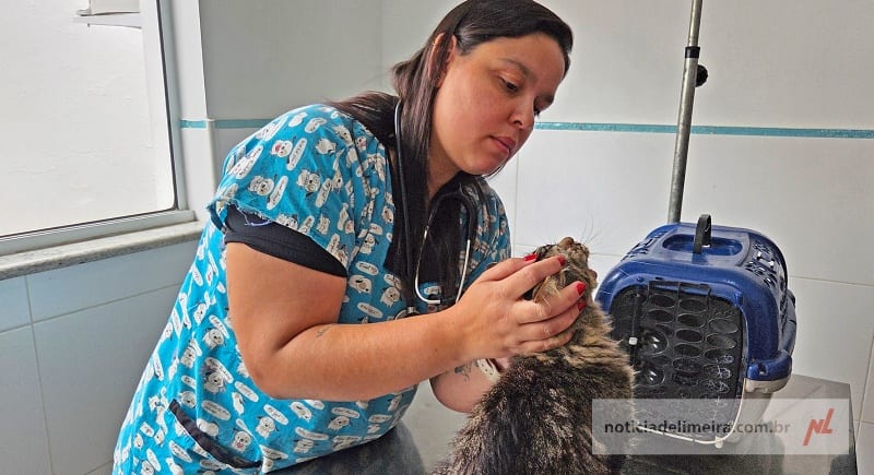 Clínica Veterinária Pública completa seis meses com mais de 3,2 mil atendimentos em Limeira