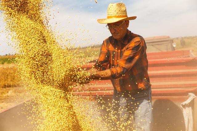 Agro puxa crescimento do PIB brasileiro no segundo trimestre de 2026