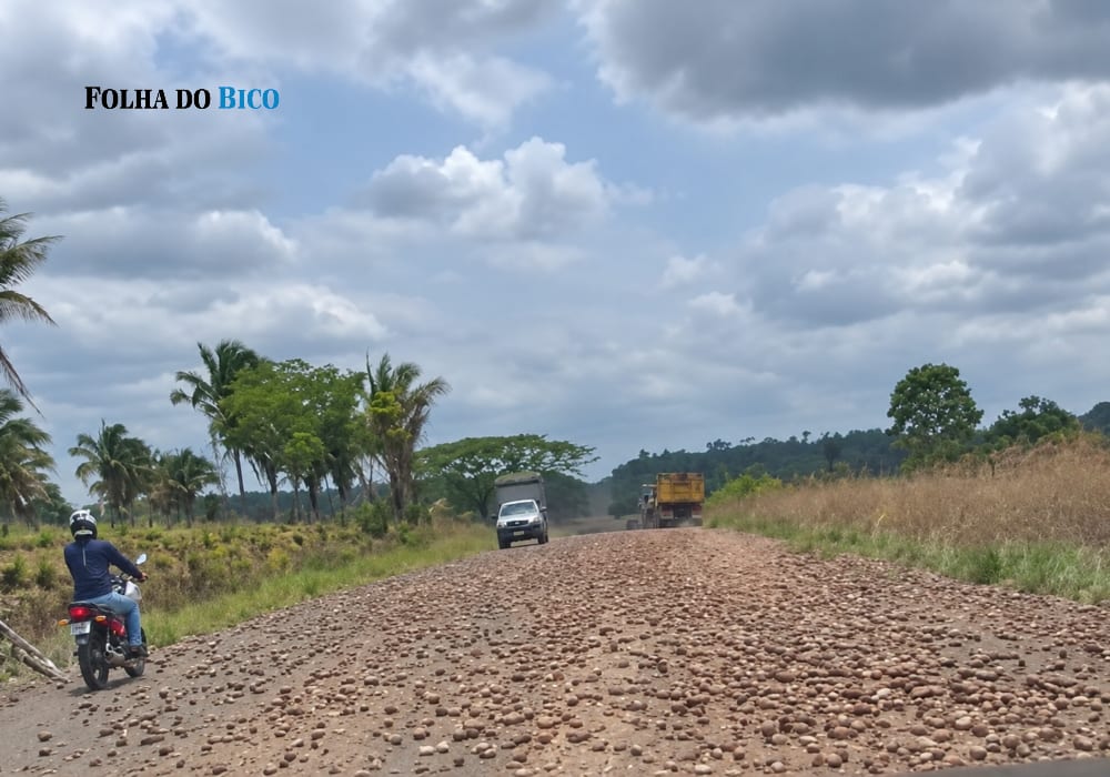 Carga de babaçu se abre e cobre trecho da TO-201 entre Augustinópolis e Carrasco Bonito
