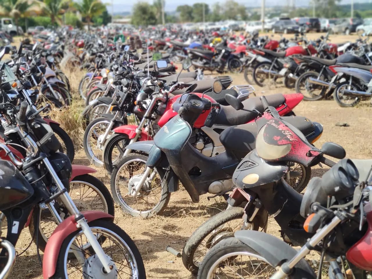 Detran-GO vai leiloar mais de 2 mil veículos, entre carros e motos, em novembro