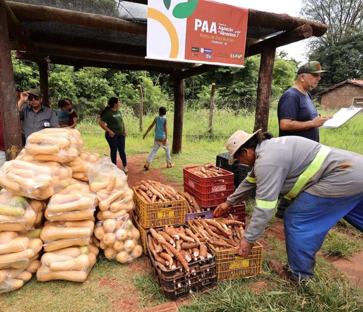 Dourados abre chamamento para o 1º PAA Indígena Municipal do Brasil