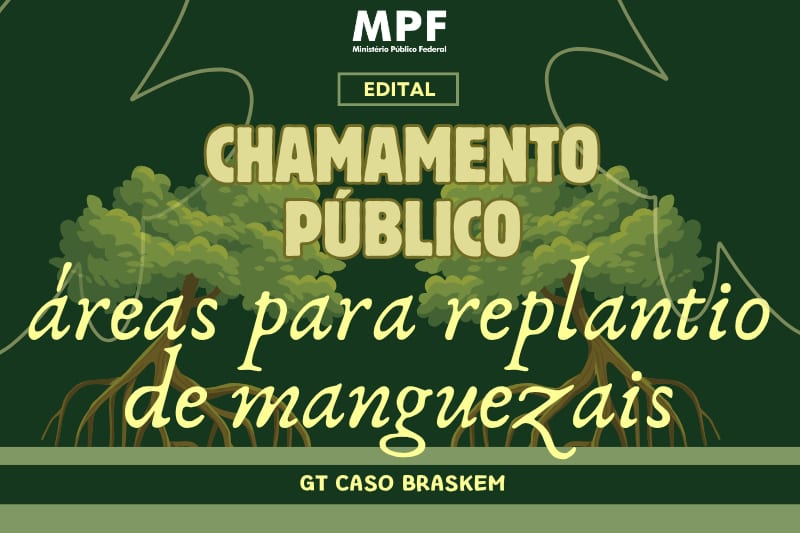 MPF abre chamamento para indicar áreas para recuperar 42,99 ha de manguezais