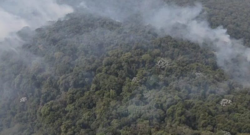 Estado de São Paulo registra menor número de focos de calor para setembro em 28 anos