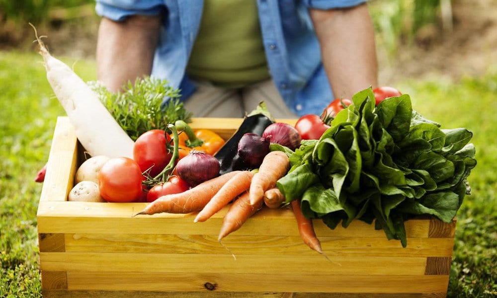 Joinville abre inscrições para evento do Dia Mundial da Alimentação em 15 de outubro