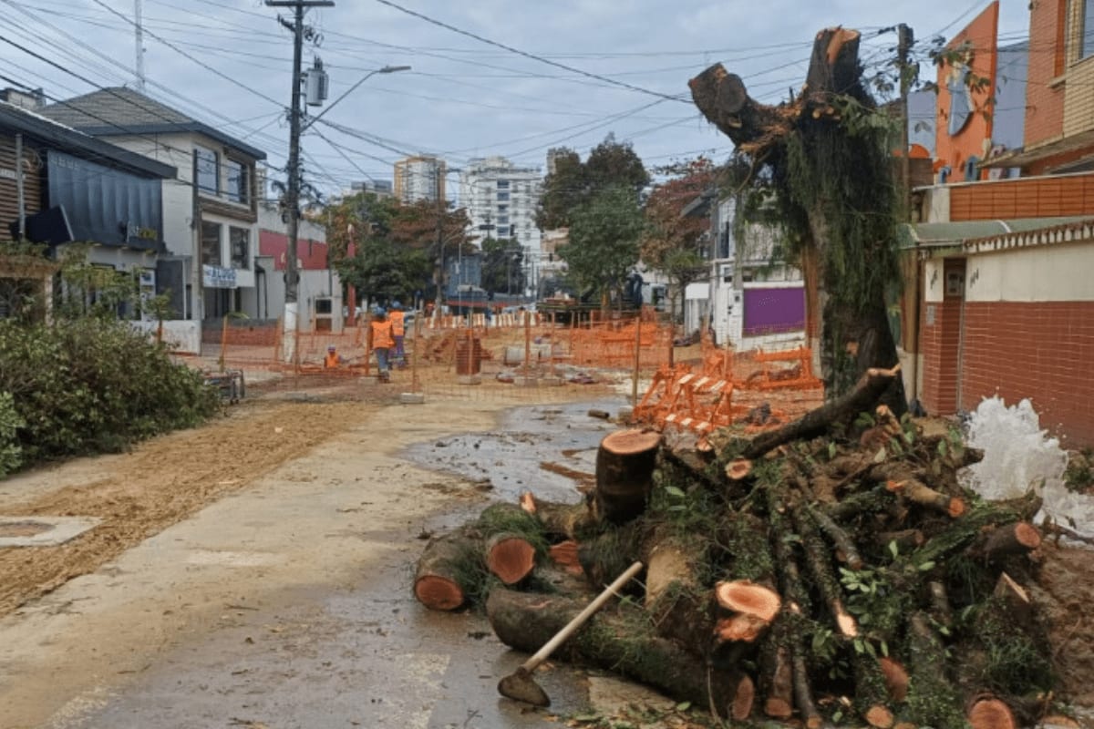 Obra de ~1 km na Alameda Armênio Mendes promete reurbanizar a Aparecida, em Santos