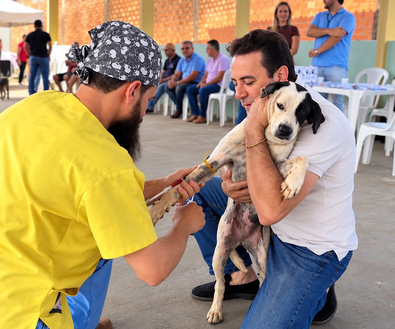 Veter Martins perdeu 40% dos votos. E a causa animal pode ajudar a explicar por quê