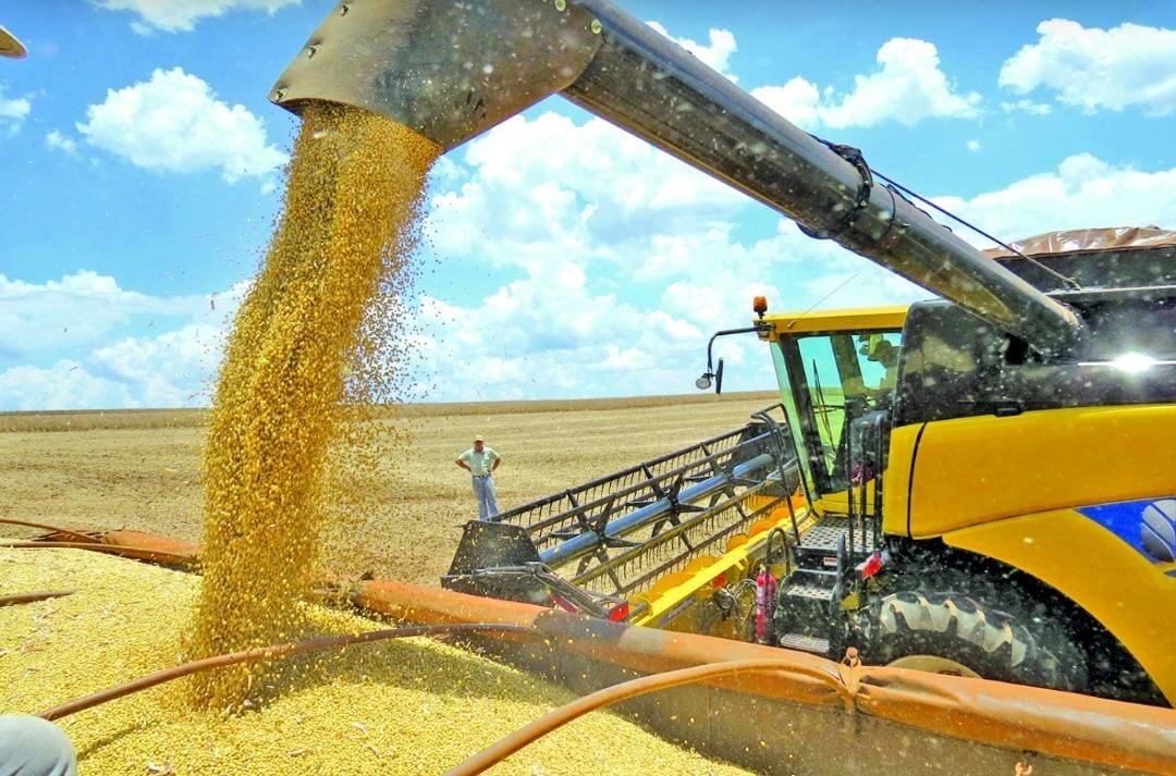 STF anulou cobrança do Funrural; devolução não é automática