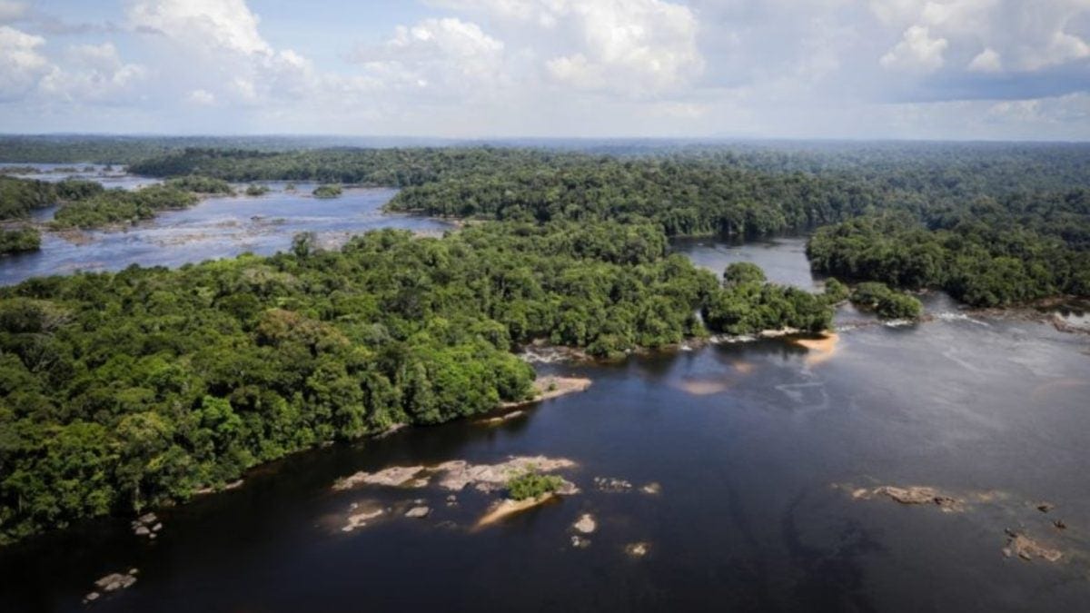 Avança projeto que destina verba de pesquisa para a Amazônia