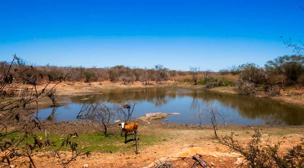 Poço Verde tem situação de emergência reconhecida pelo Governo de Sergipe devido à estiagem