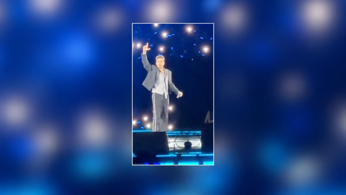Luan Santana faz o “L” durante show em Brasília