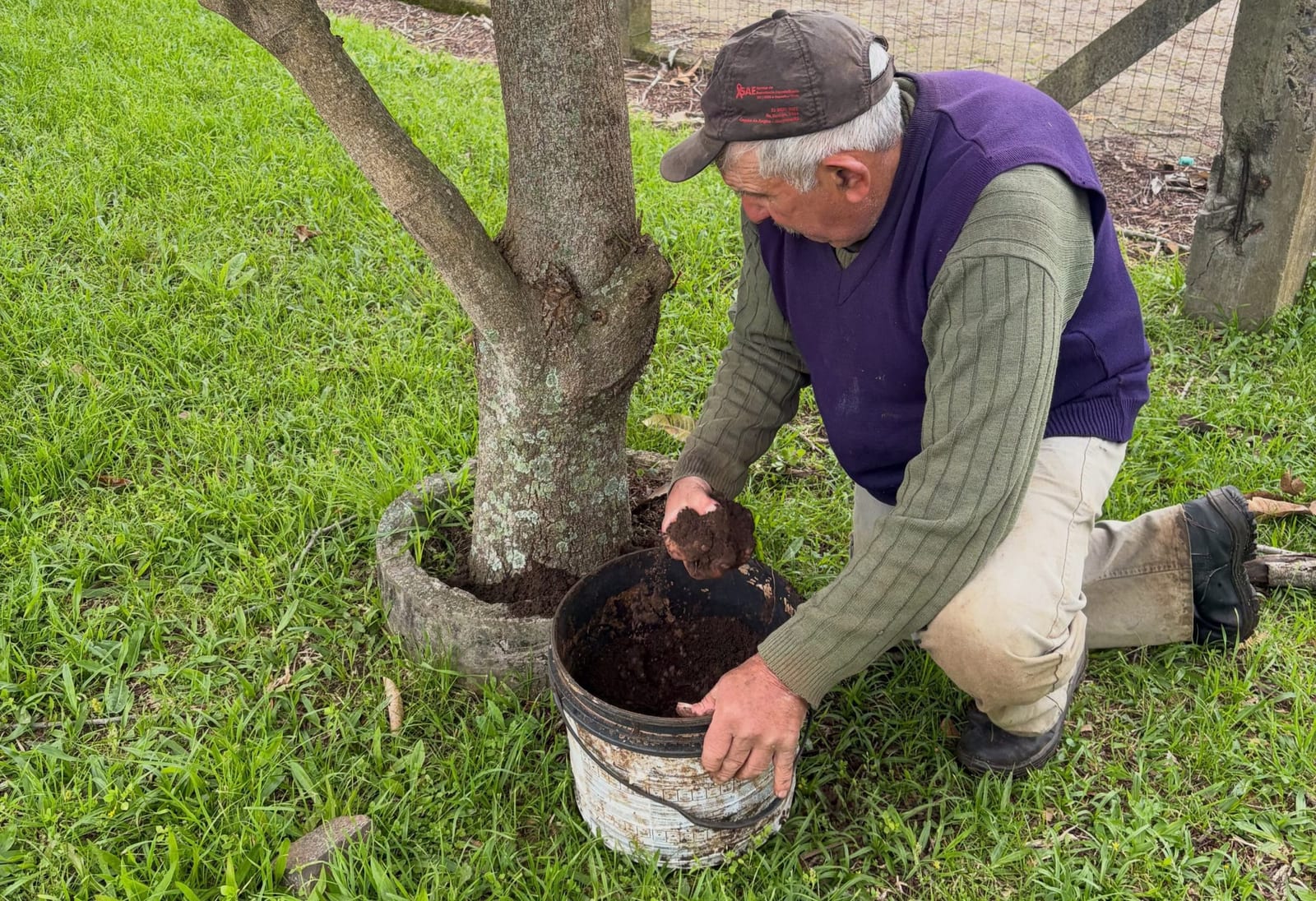 Uma carga de terra faz a alegria de idoso que cultiva plantas e flores na Zona Leste de Alegrete