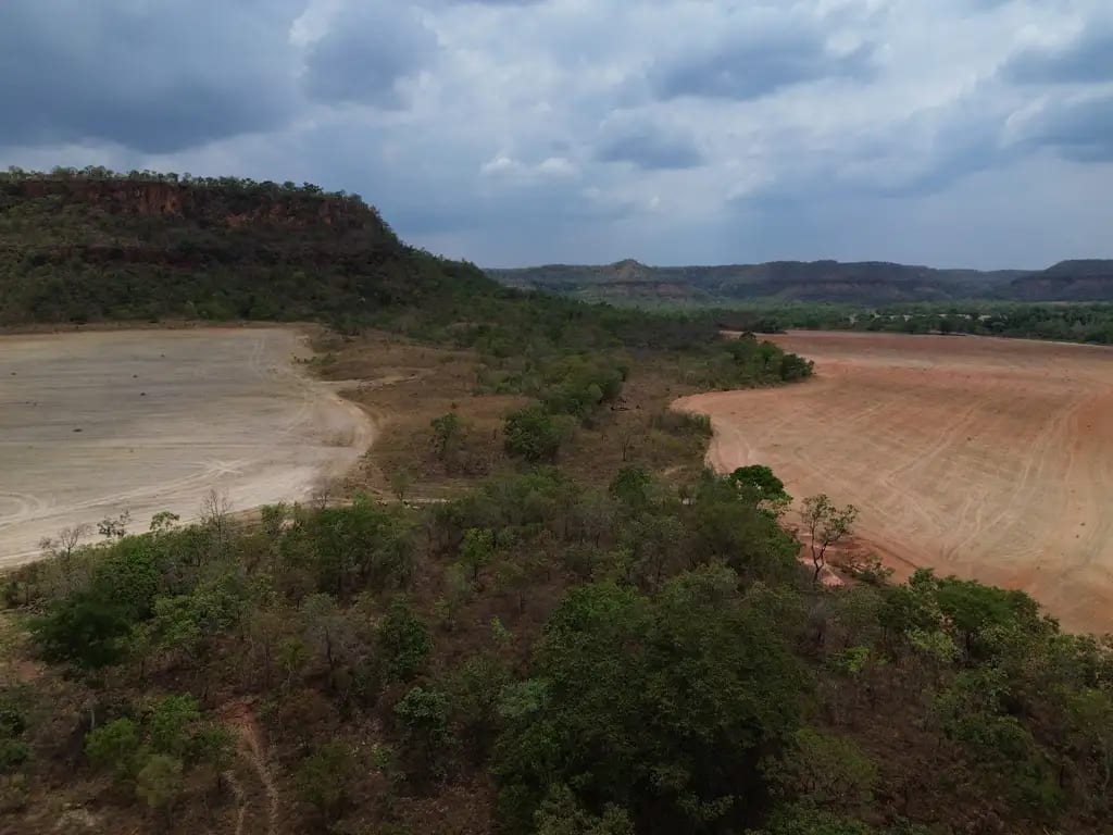 Amazônia tem menor nível de alertas de desmatamento desde 2016