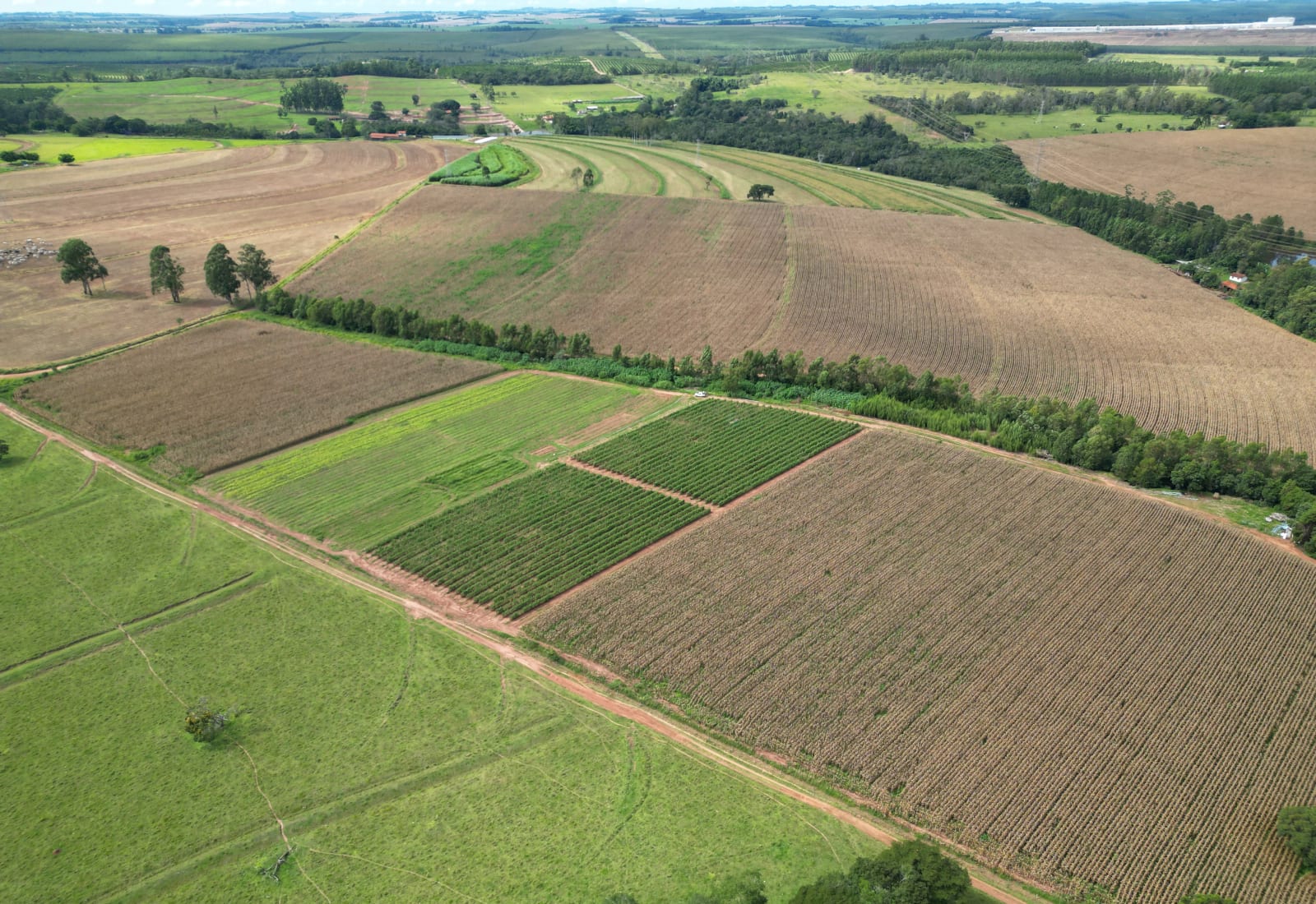 Agricultura familiar responde por 45% das compras da merenda em Botucatu