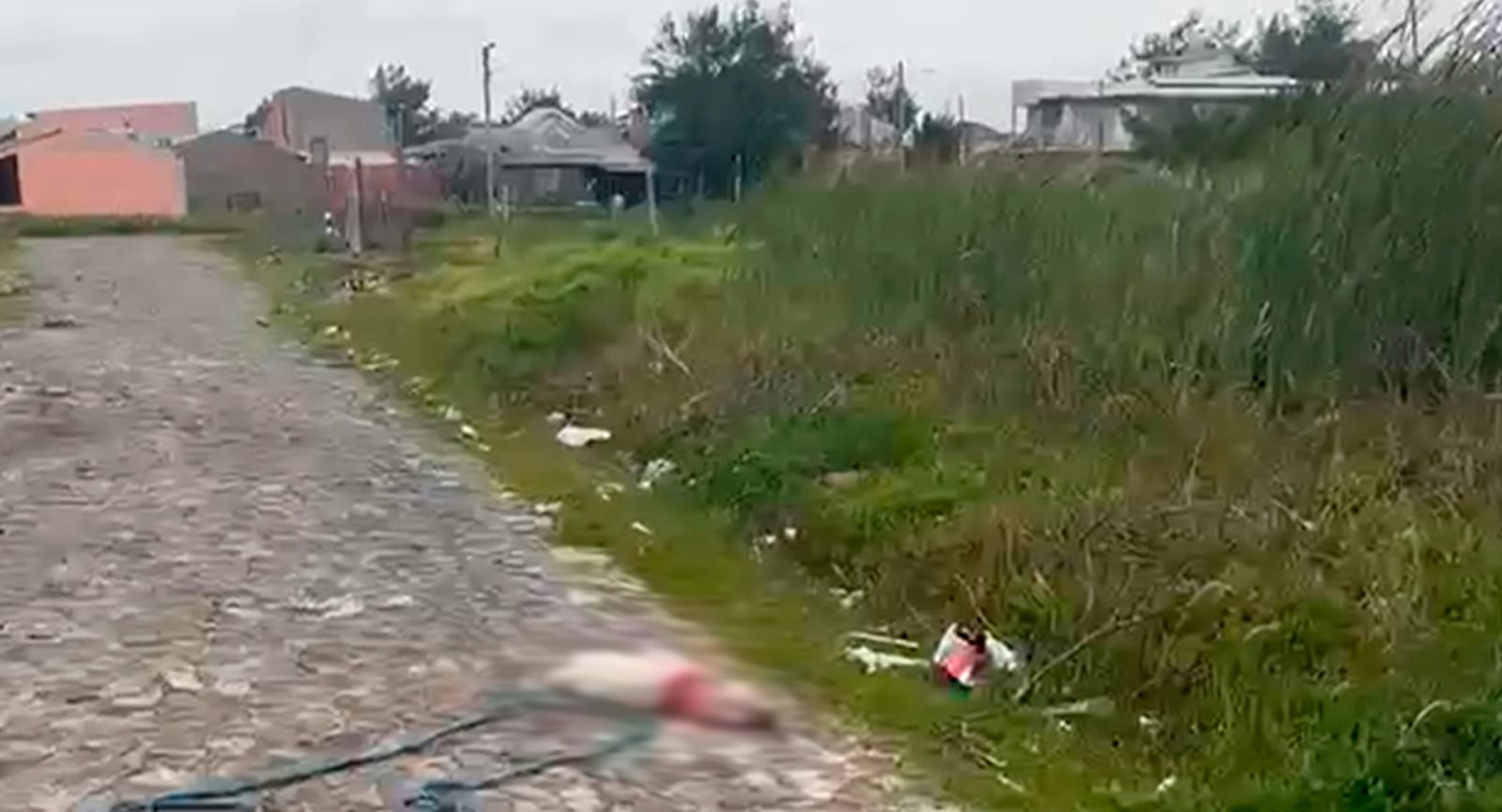 Pitbull ataca pedestre e acaba morto em Tramandaí