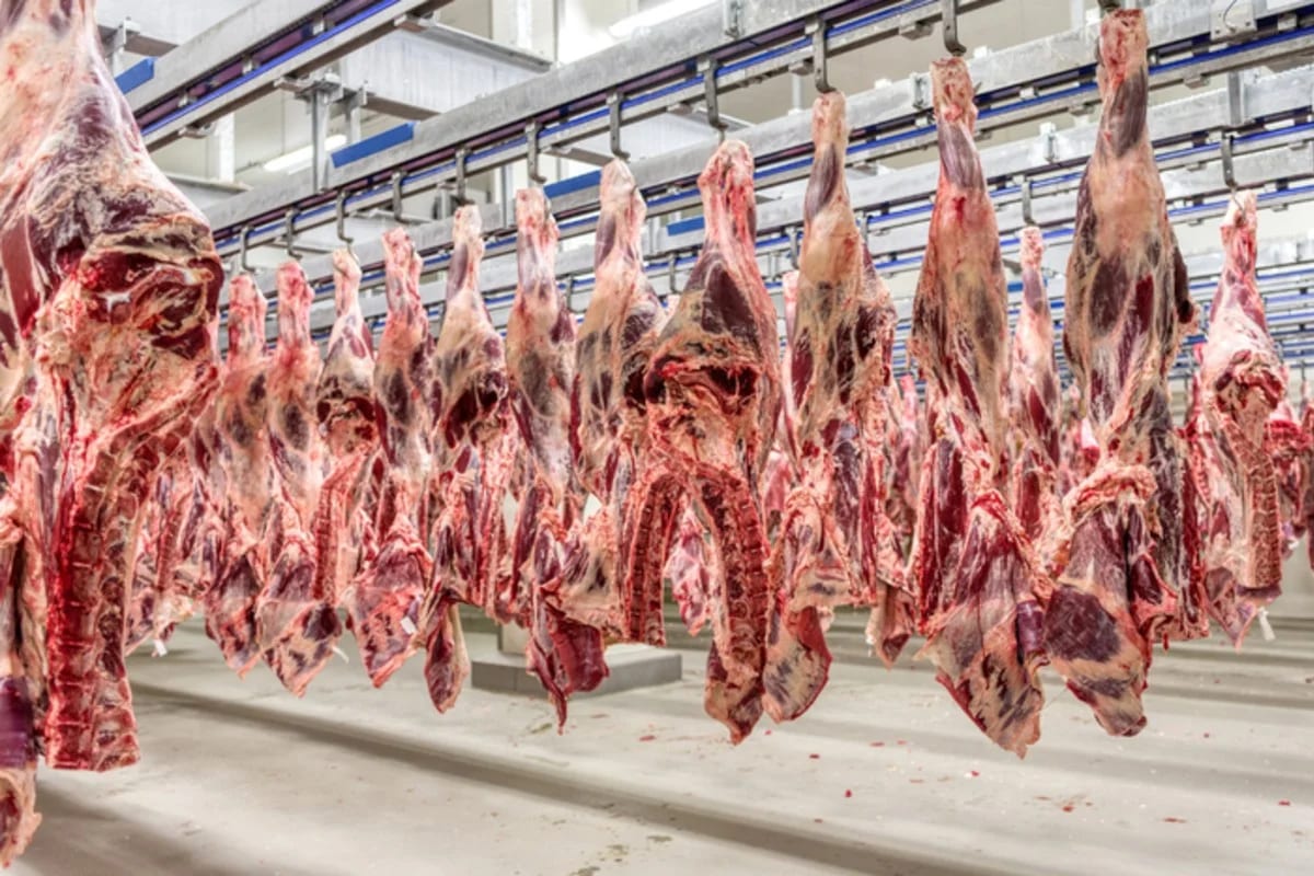 União Europeia suspende importação de carnes, ovos e mel do Brasil