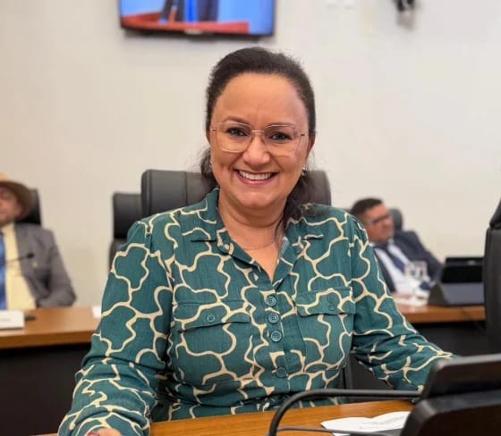 Iolanda Castro pede extensão da rede elétrica no Setor Santa Fé I Rural