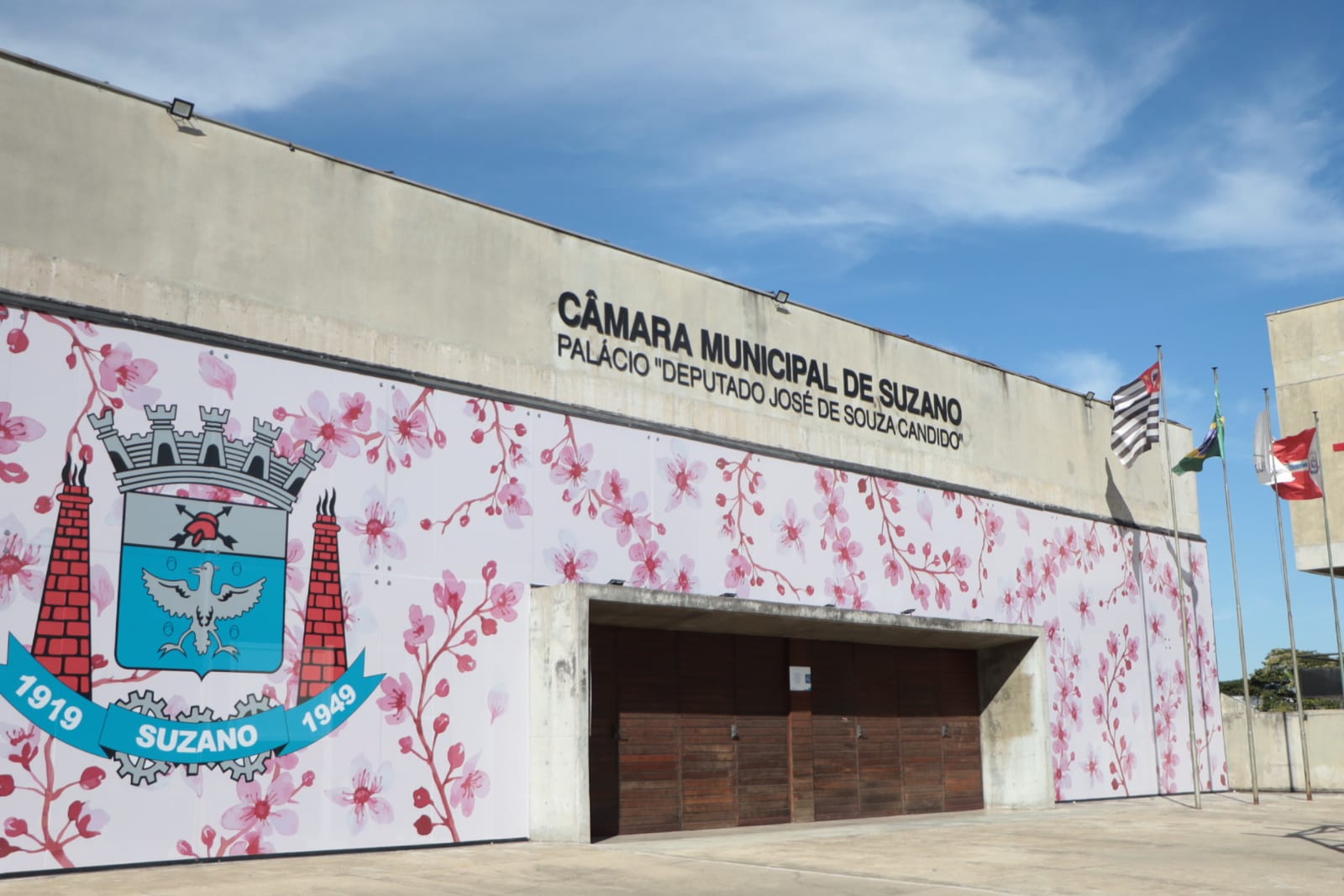 Câmara de Suzano aprova Dia Municipal Feminicídio Zero em 25 de novembro