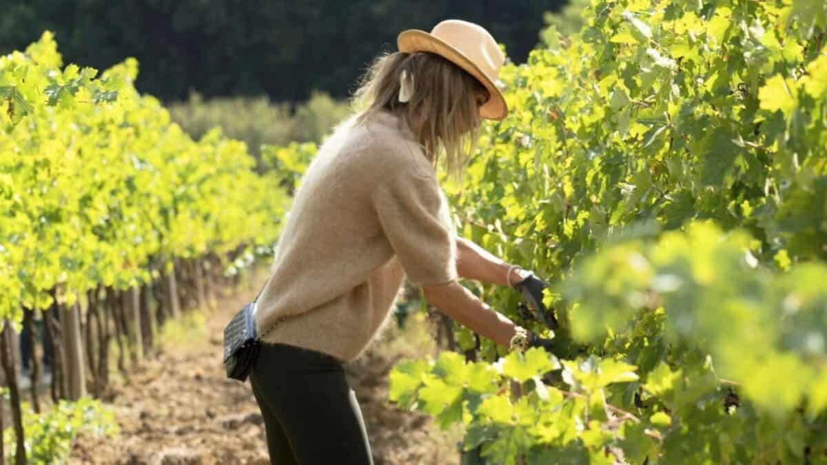 Agroturismo entre Vinhedos e Viver a Vindima: os Wine Resorts para Conhecer na Europa