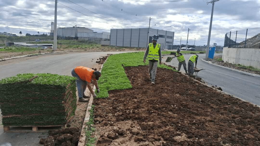 Farroupilha conclui aplicação de asfalto na 2ª etapa da Avenida dos Imigrantes