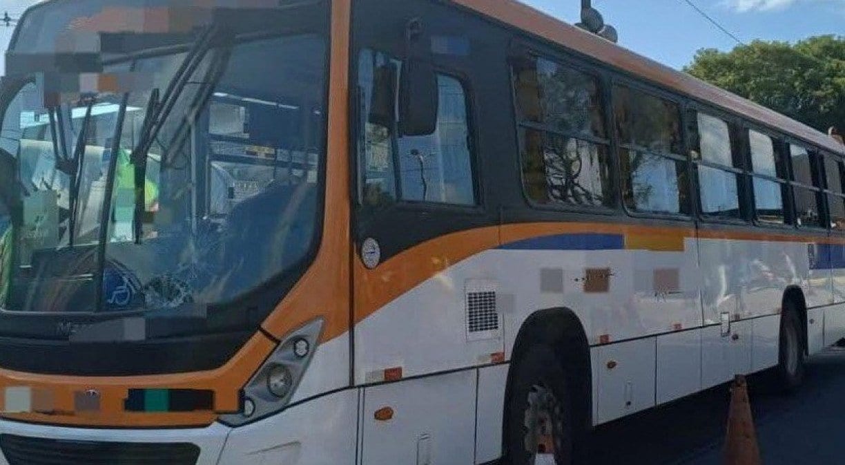 Voz do Leitor, 30/08: Moradores de distrito rural de Igarassu sem transporte público
