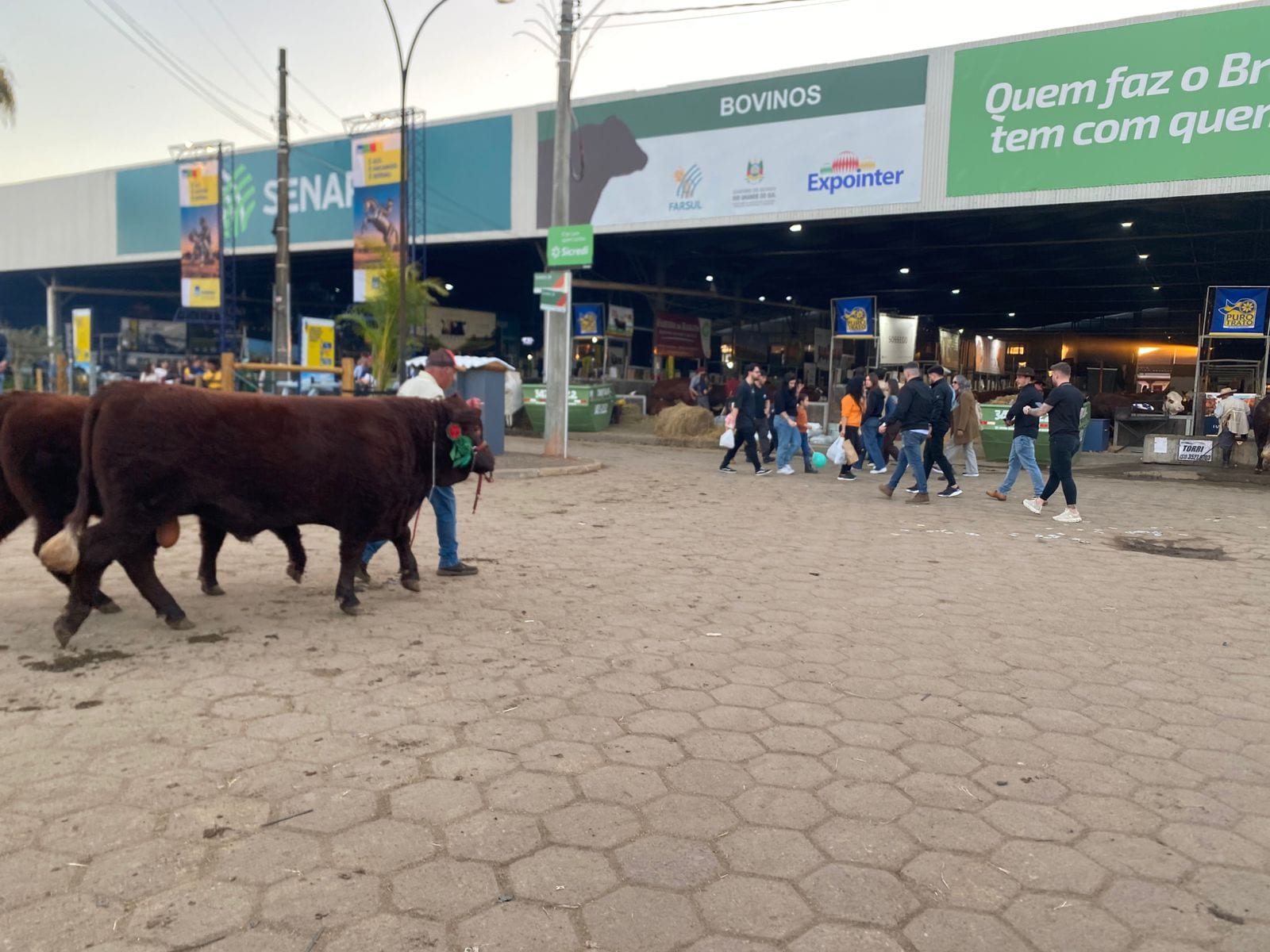 Com quatro dias pela frente, Expointer prepara caminho para os 50 anos