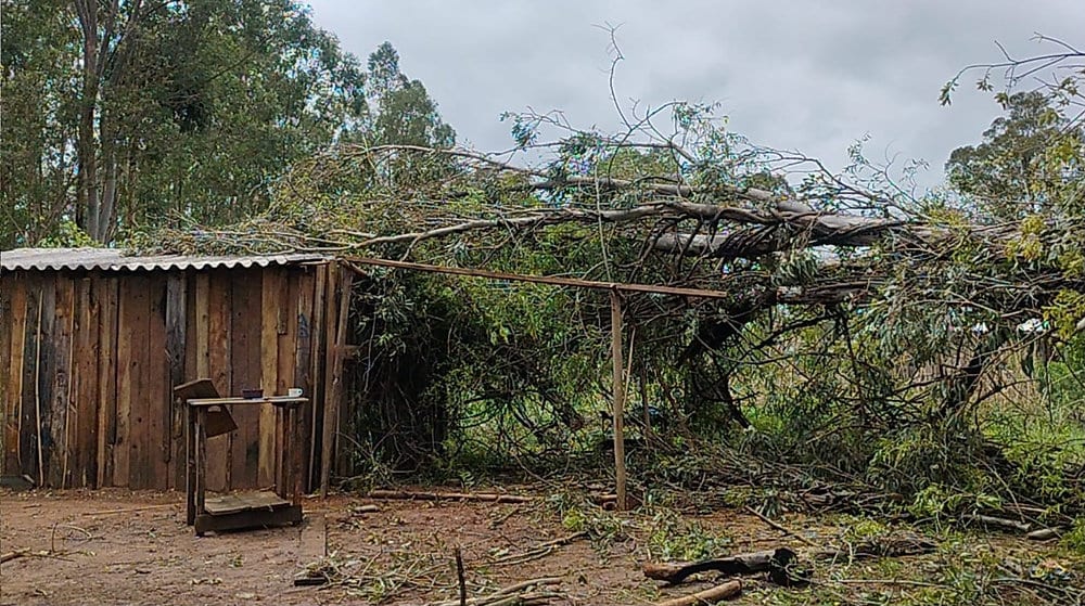 Prefeitura mantém equipes mobilizadas após temporal e elevação do Jacuí em Cachoeira do Sul