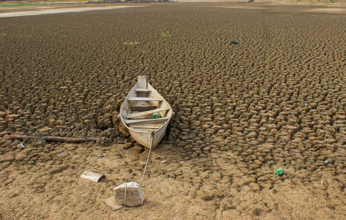 Brasil promete restaurar 163 mil km² de terras degradadas até 2030