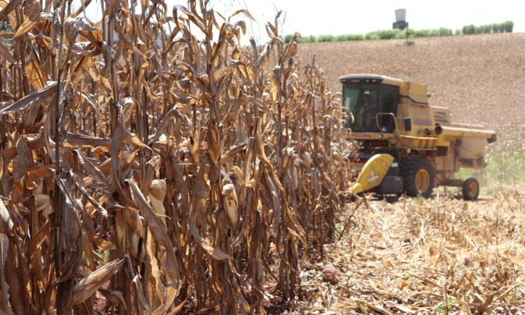 Mato Leitão paga quase R$ 197 mil a 320 agricultores pelo Vale‑Incentivo