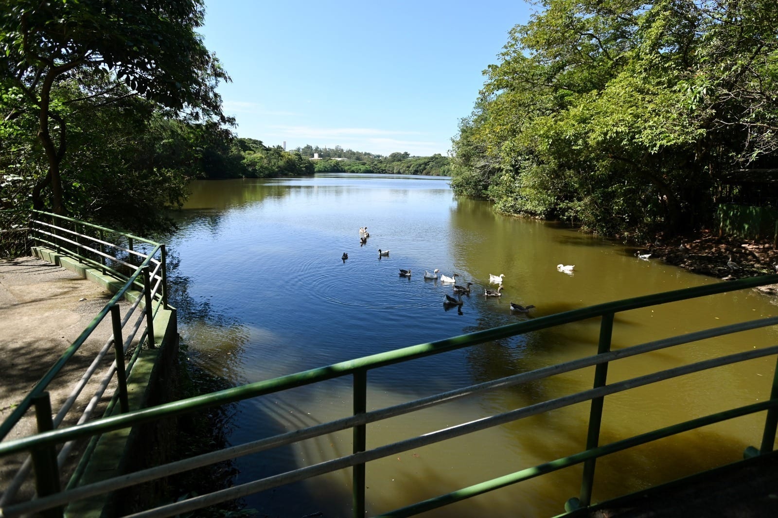 Prefeitura abre todos os parques e bosques de Campinas nesta quarta, 14