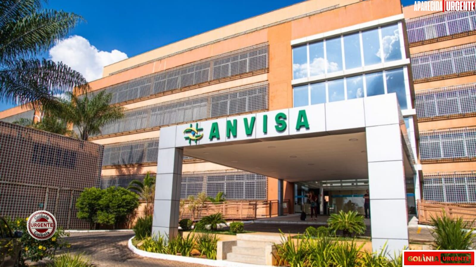 Anvisa aprova cinco novas canetas para diabetes e obesidade; veja quais são