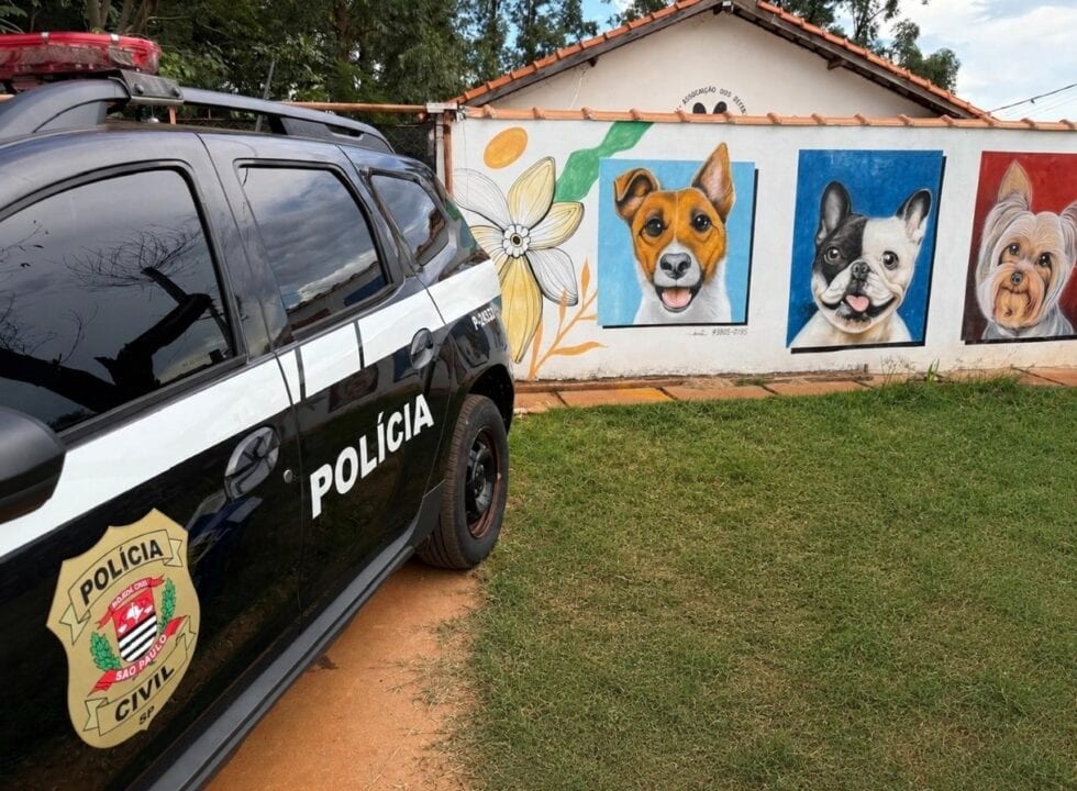 Após cães atacarem animal e dona, responsável firma acordo com a Justiça em Presidente Venceslau