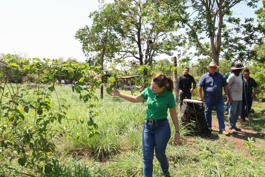Visita a produtores familiares destaca diversificação da agricultura em Várzea Grande