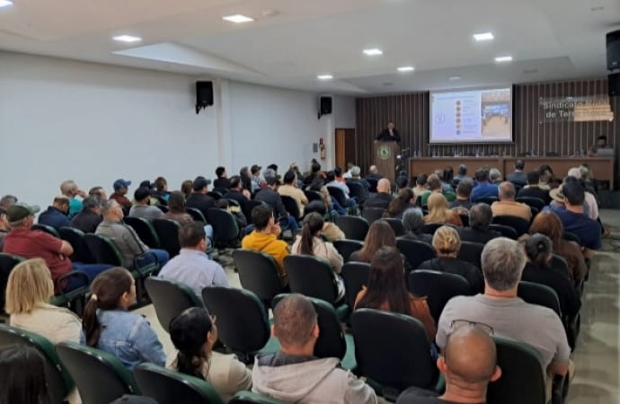 Copel anuncia R$ 8,6 mi para melhorar energia em Terra Roxa