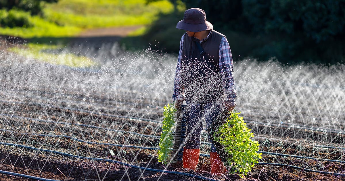 Risco climático eleva demanda por irrigação diante de crédito mais restrito