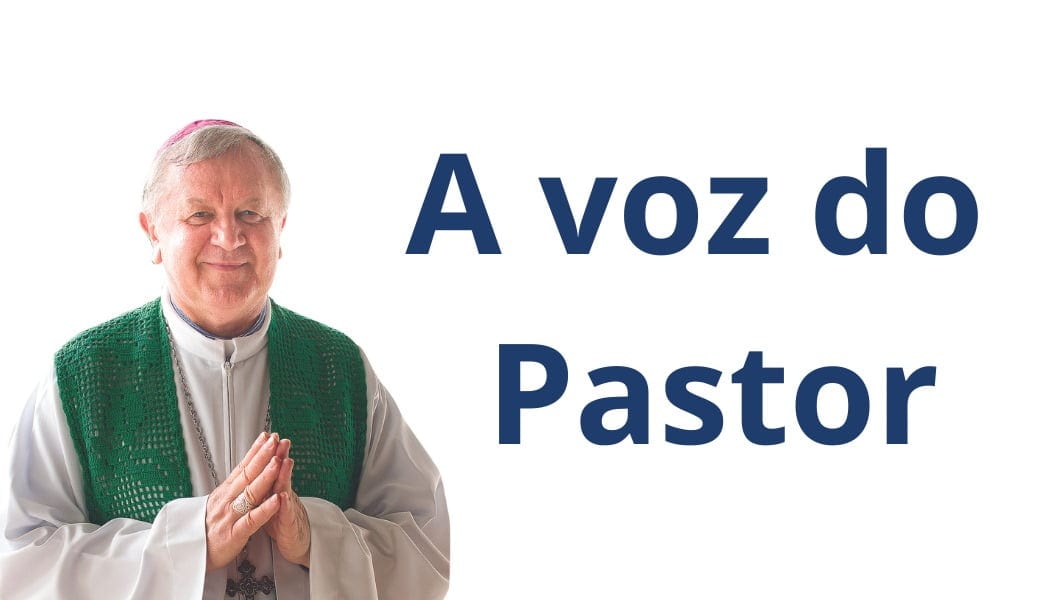 A bela arte de acompanhar