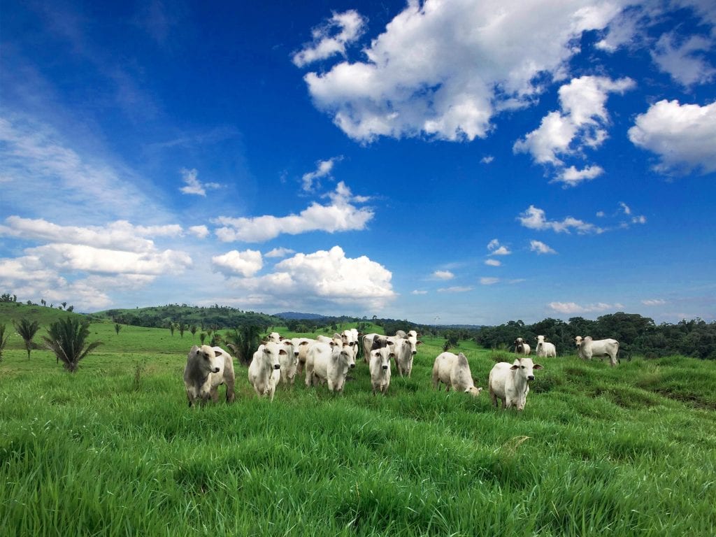 Sudão libera importação de mais produtos do Brasil