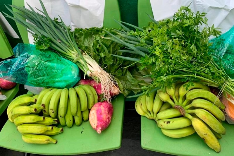 SP abre chamamento do PAA para comprar alimentos da agricultura familiar