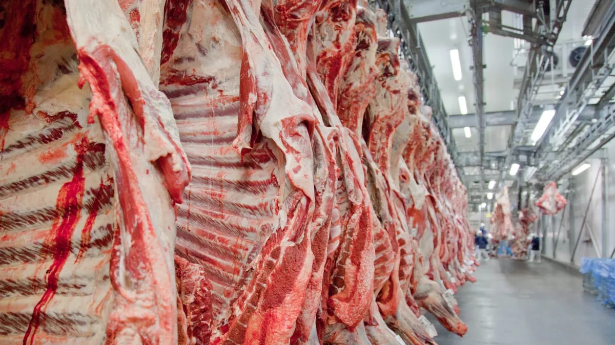 Goiás pode ampliar exportação de carne bovina aos Estados Unidos