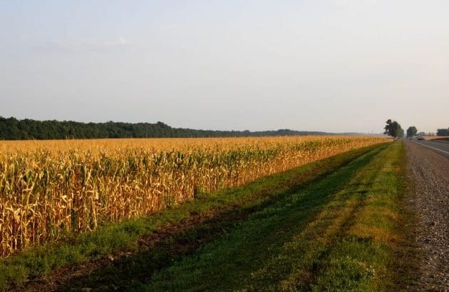 PL 2292/26 permite cultivo de lavouras nas faixas de domínio de rodovias