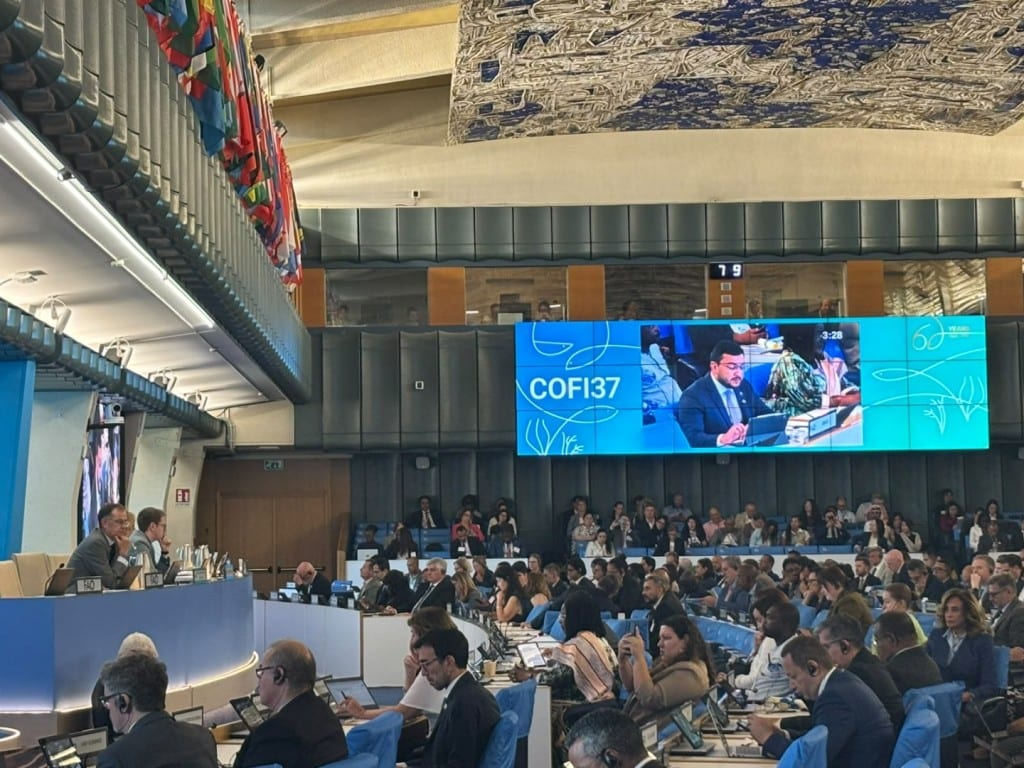 Brasil reafirma compromisso com pesca sustentável na 37ª sessão da FAO
