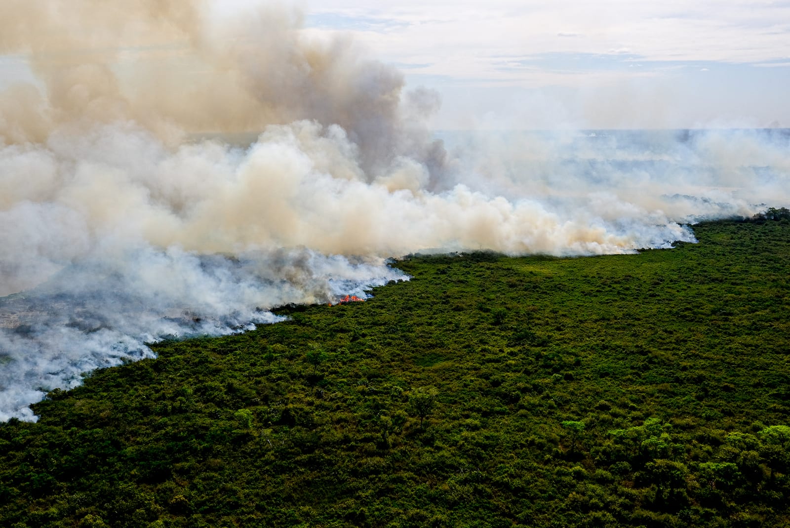 Governo abre crédito de R$ 300 mi para combater queimadas na Amazônia