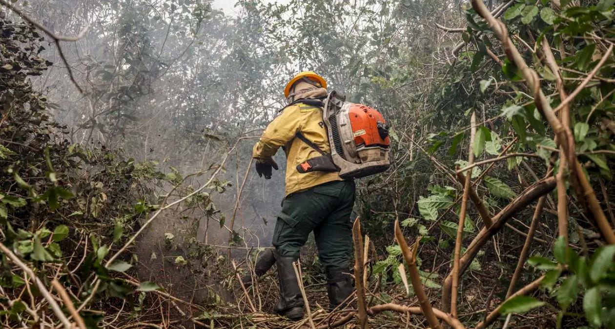 Incêndios no Amazonas foram causados por ação criminosa, diz ministro