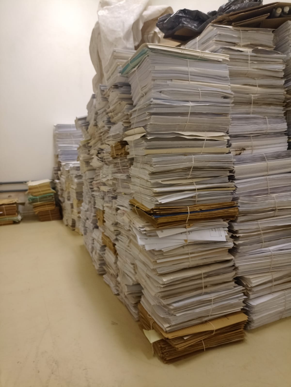 FURG elimina 187 metros e 2,352 gigabytes de documentos públicos