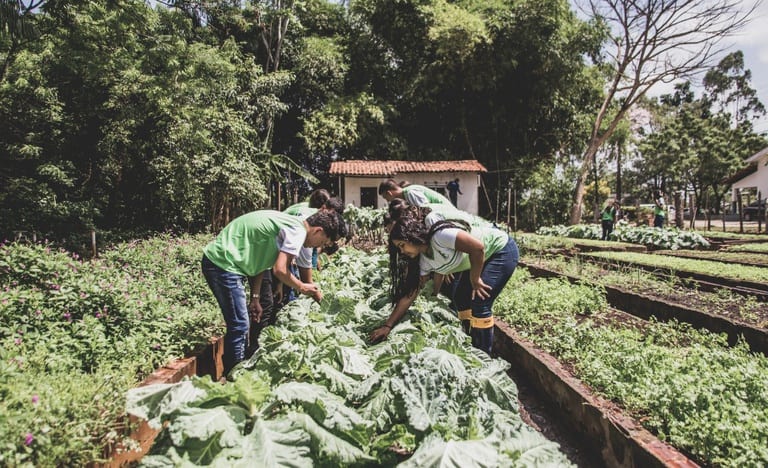 Governo aprimora compra de alimentos da agricultura familiar para a merenda escolar