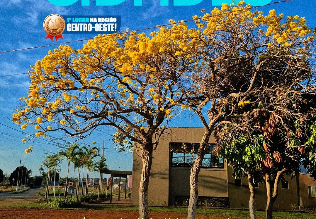 Catalão fica em 1º no Centro-Oeste e entre os 10 municípios do Edital ArborizaCidades