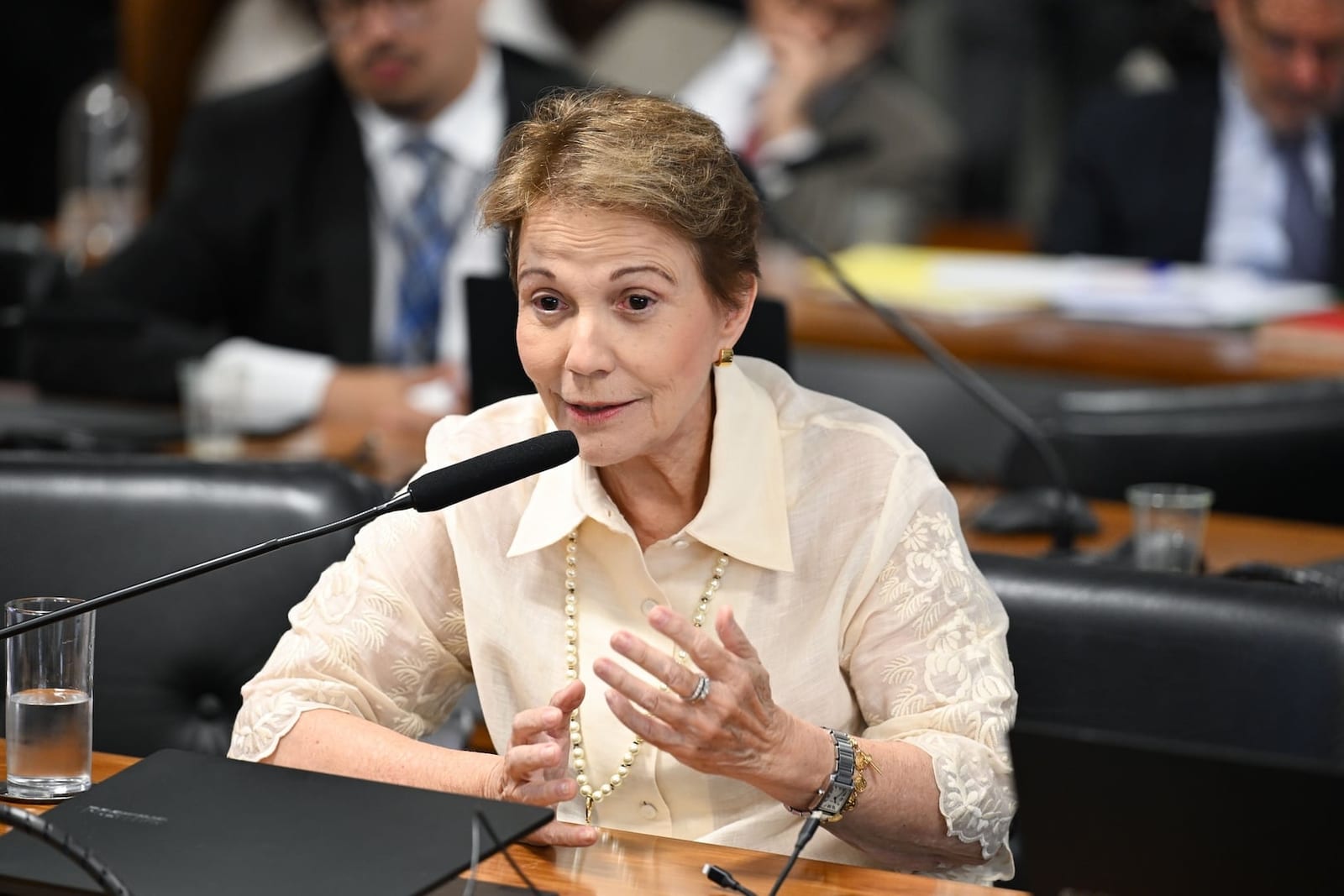 Tereza Cristina não espera votação da MP das dívidas rurais em 2026