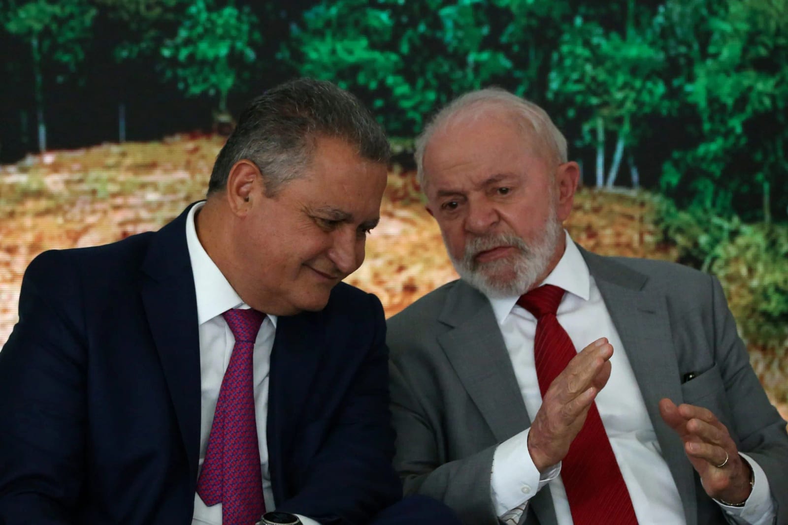 A crítica de Rui Costa à articulação de Alcolumbre para anistiar Bolsonaro