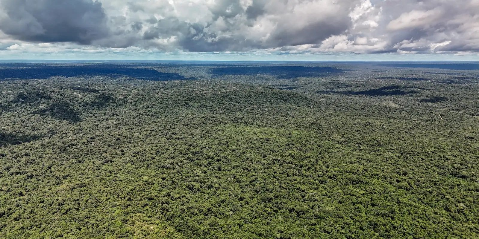 Brasil Conquista US$1 Bilhão do BID para Fortalecer Transição Ecológica com o Eco Invest Brasil
