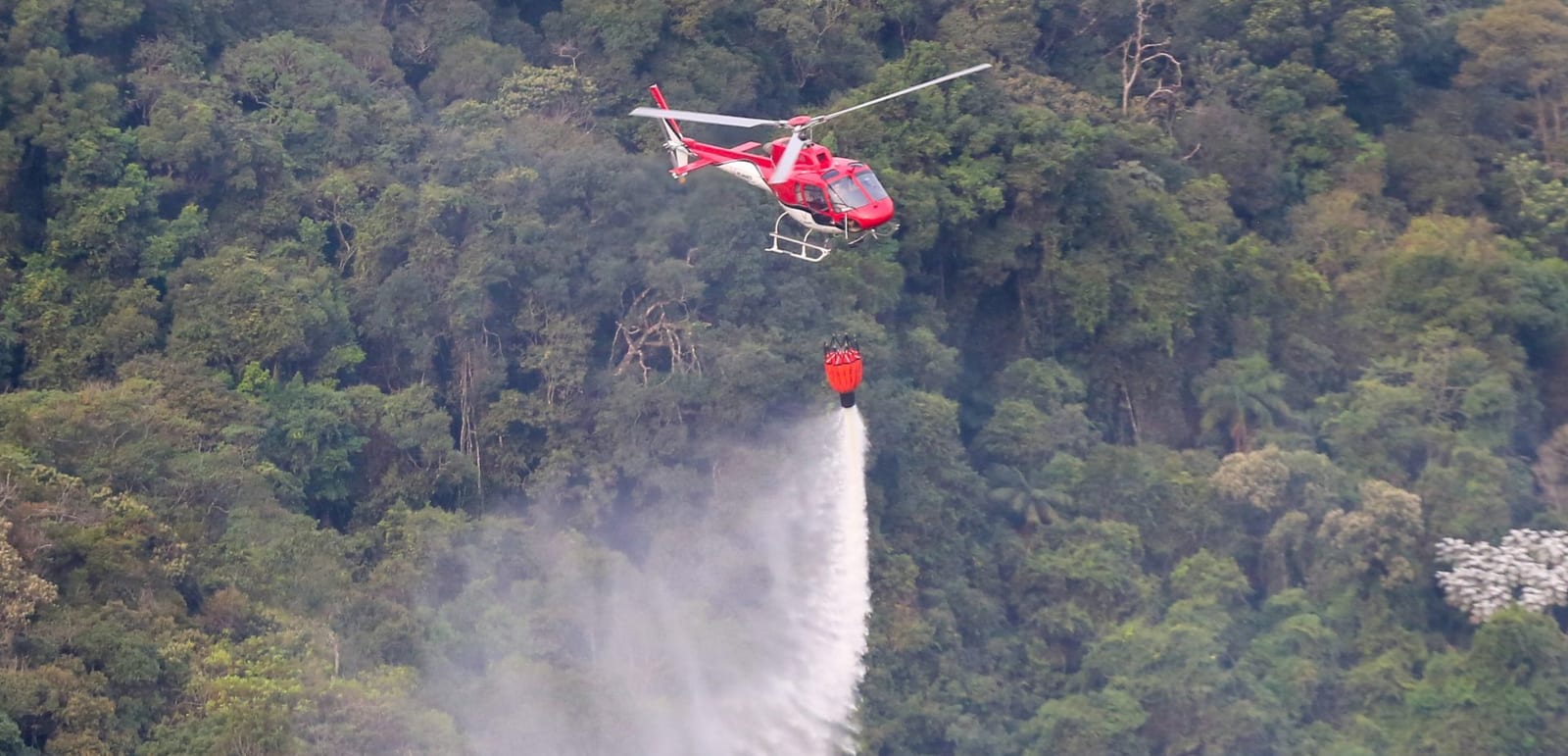 SP lança plano com 181 ações e R$29 bilhões para enfrentar mudanças climáticas